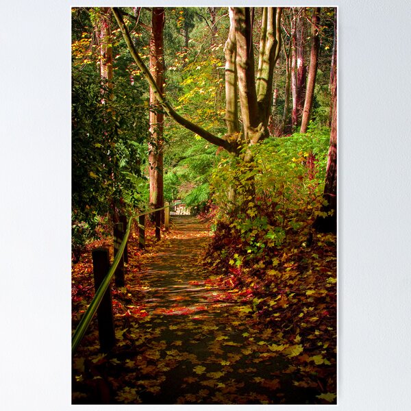 Item preview, Alfred Nicholas Gardens designed and sold by Mary Broome.