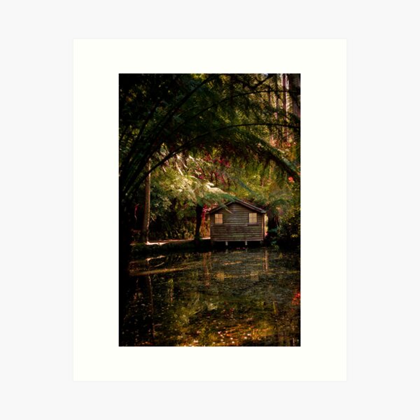 Item preview, Alfred Nicholas Gardens designed and sold by Mary Broome.