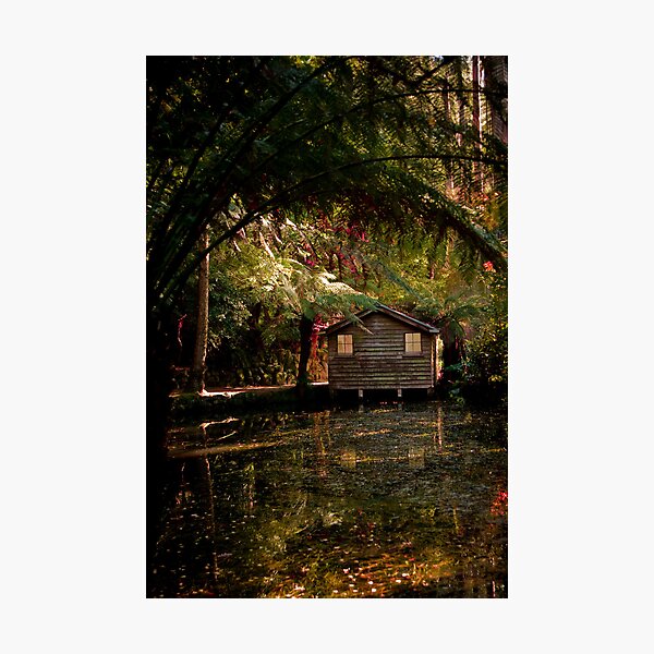 Item preview, Alfred Nicholas Gardens designed and sold by Mary Broome.