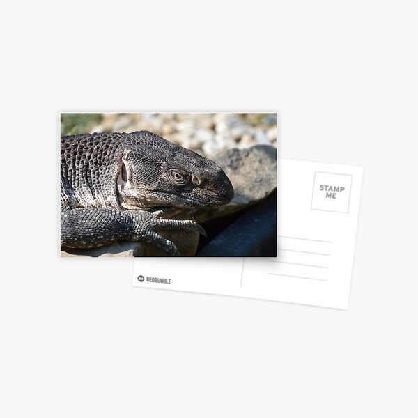Artikel-Vorschau von Schwarzer Kehlkopf-Monitor, designt und verkauft von LizardSpirit.