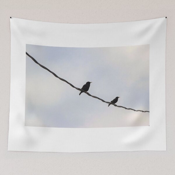Item preview, Bird(s) on a Wire designed and sold by SEEphotos7171.