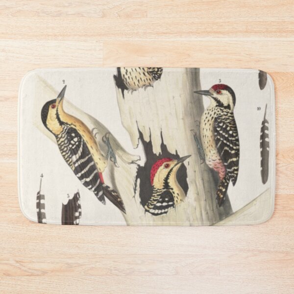 Item preview, Naturalist Woodpecker designed and sold by BlueSpecsStudio.