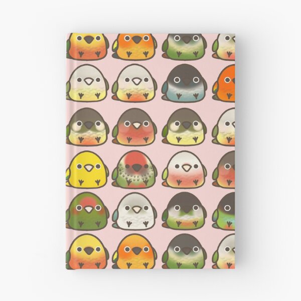 Item preview, Conure Chart designed and sold by blirbos.