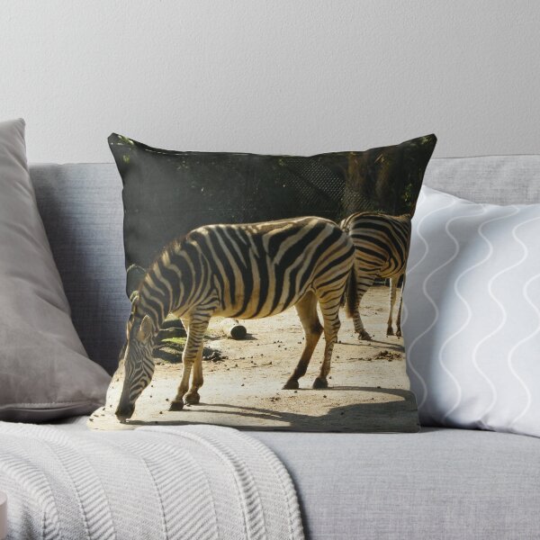 zebras at the zoo Throw Pillow