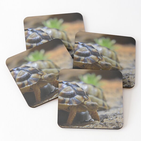 Item preview, Egyptian Tortoise designed and sold by rthornberry.