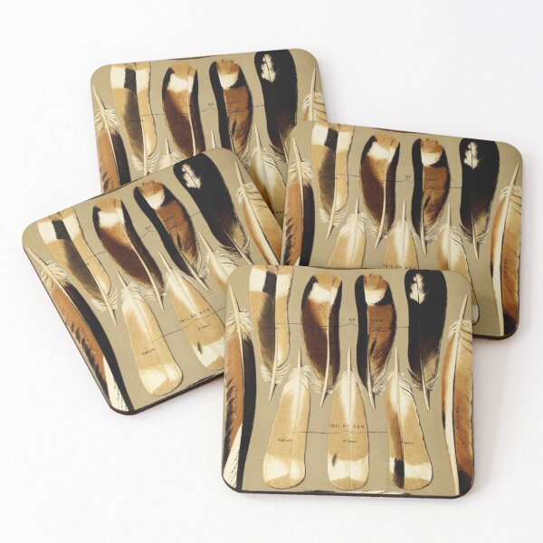 Item preview, Pigeon Feathers designed and sold by BlueSpecsStudio.