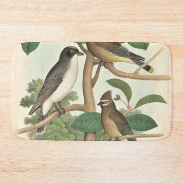 Item preview, Naturalist Birds designed and sold by BlueSpecsStudio.