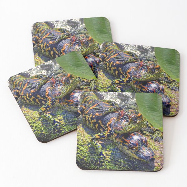 Item preview, Baby Gators designed and sold by Savannah Gibbs.