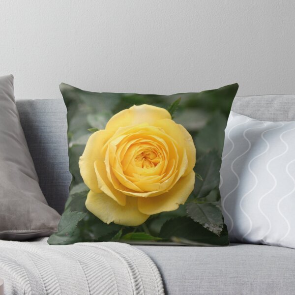 Item preview, The sweetest ever grew designed and sold by WalnutHill.