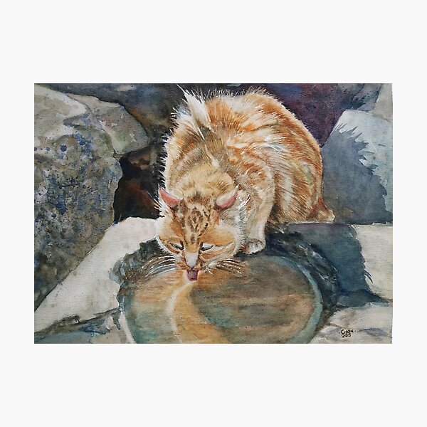Artikelvorschau, Machen Sie einen Wunsch, Katze in Aquarell entworfen und verkauft von Almondtree.