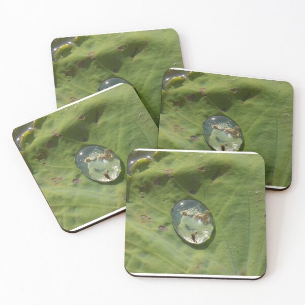 Item preview, Mini Water World designed and sold by SEEphotos7171.