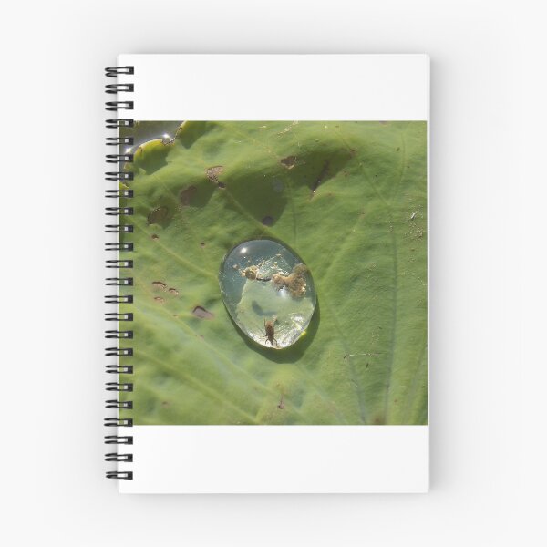 Item preview, Mini Water World designed and sold by SEEphotos7171.