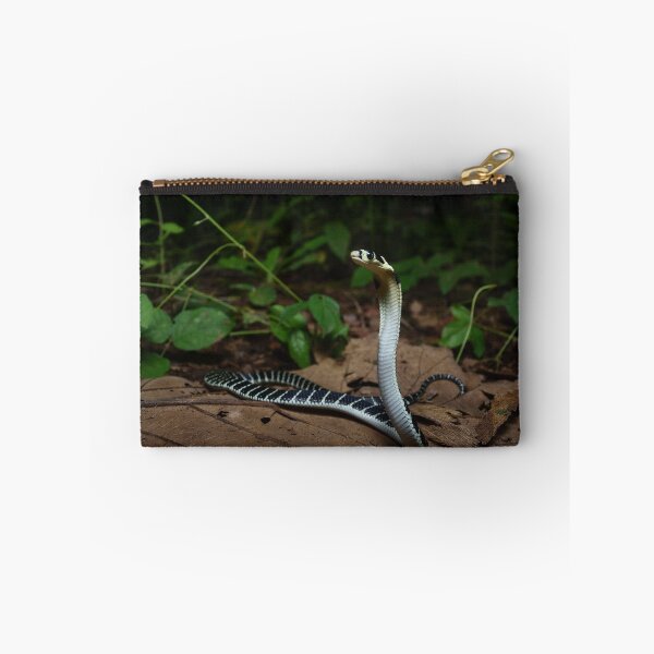 Item preview, Juvenile King Cobra Indonesia designed and sold by CJHay.