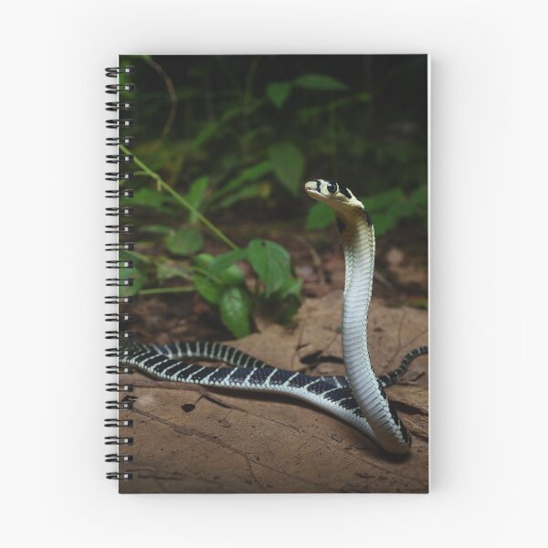 Item preview, Rey Cobra Juvenil Indonesia designed and sold by CJHay.