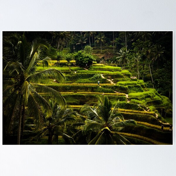 Item preview, Ubud, Indonesia designed and sold by photobypj.
