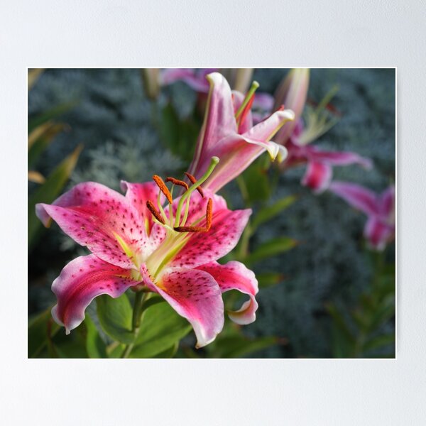 Item preview, From the yard designed and sold by Steven Sullivan.