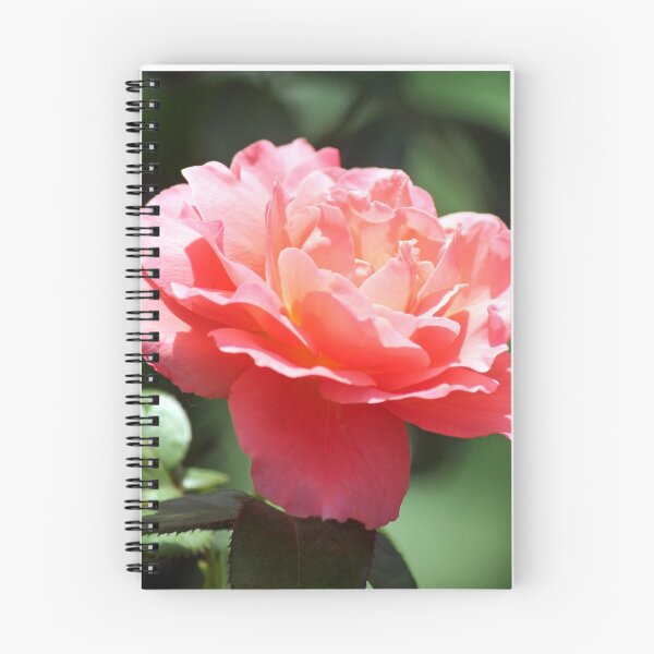 Item preview, A rose arose designed and sold by WalnutHill.
