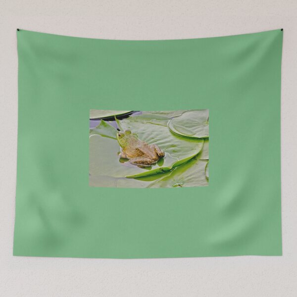Item preview, Bullfrog on a lily pad... designed and sold by RichImage.