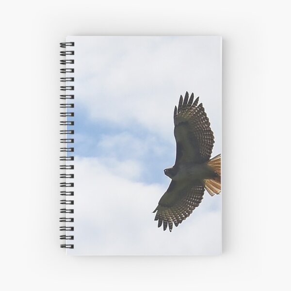 Item preview, Soar designed and sold by Holly Werner.