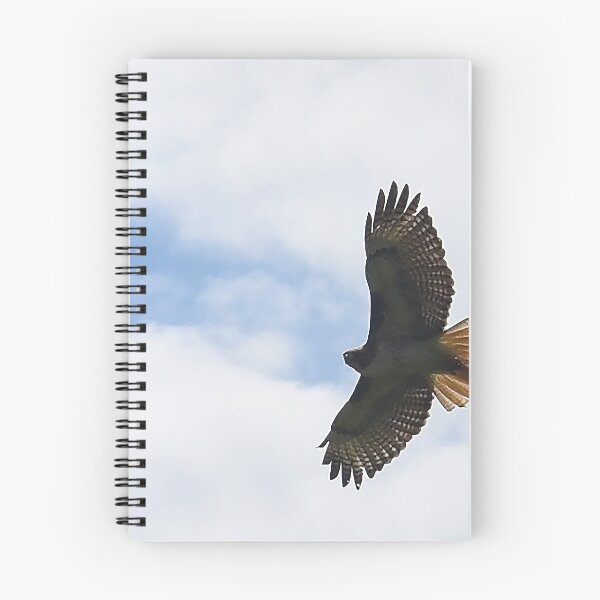 Item preview, Soar designed and sold by Holly Werner.