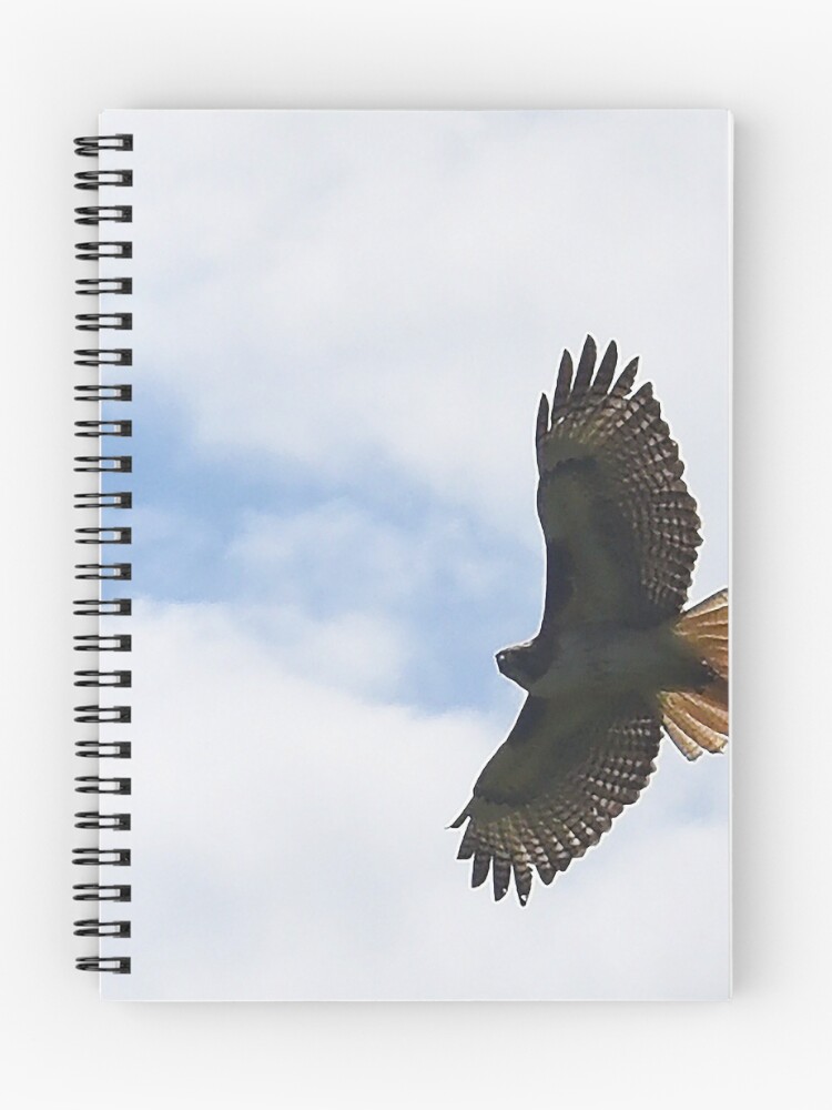 Thumbnail 1 of 3, Journal, Soar designed and sold by ritesideup.