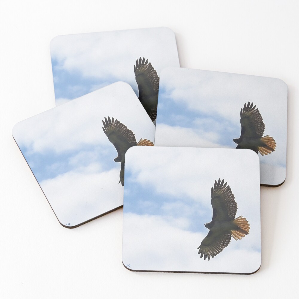 Item preview, Coasters (Set of 4) designed and sold by ritesideup.