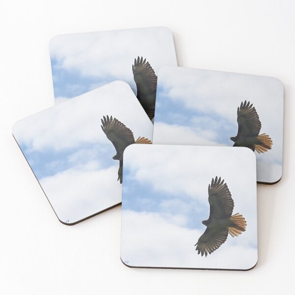 Item preview, Soar designed and sold by Holly Werner.
