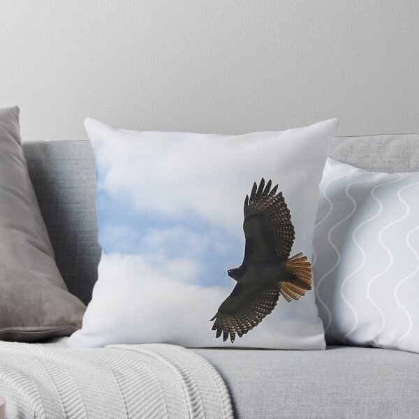 Item preview, Soar designed and sold by Holly Werner.