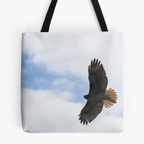 Item preview, Soar designed and sold by Holly Werner.