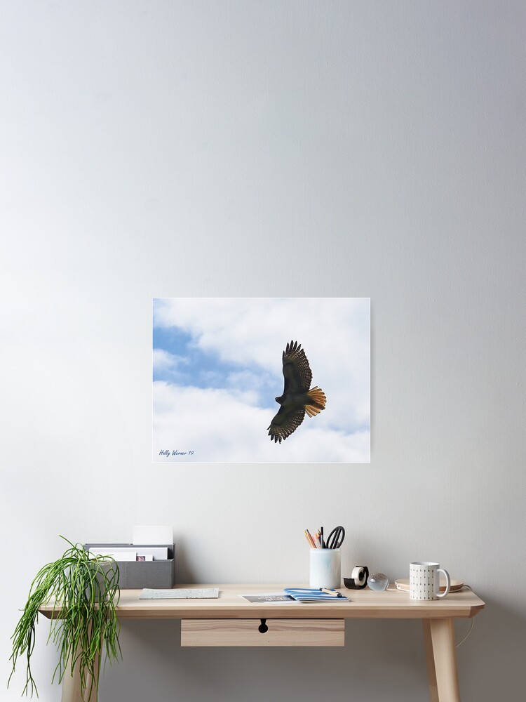 Thumbnail 2 of 3, Poster, Soar designed and sold by ritesideup.