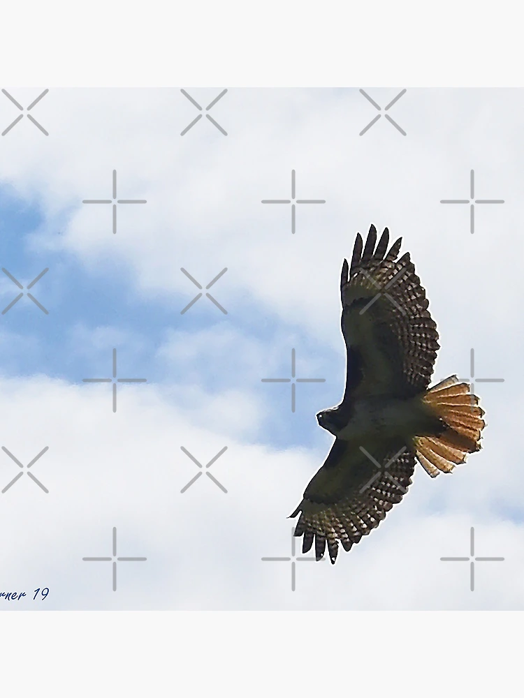 Thumbnail 4 of 4, Clock, Soar designed and sold by Holly Werner.