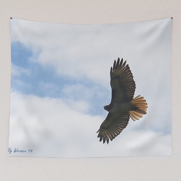 Item preview, Soar designed and sold by Holly Werner.