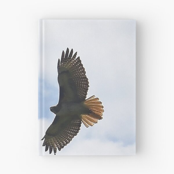 Item preview, Soar designed and sold by Holly Werner.