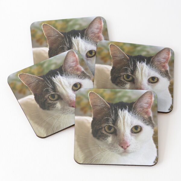 Item preview, Mischa Baryshnikat designed and sold by heatherfriedman.