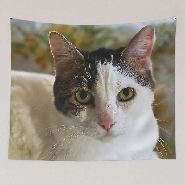 Item preview, Mischa Baryshnikat designed and sold by heatherfriedman.