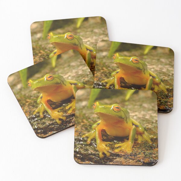 Item preview, Dainty Tree Frog, Litoria gracilenta designed and sold by CJHay.