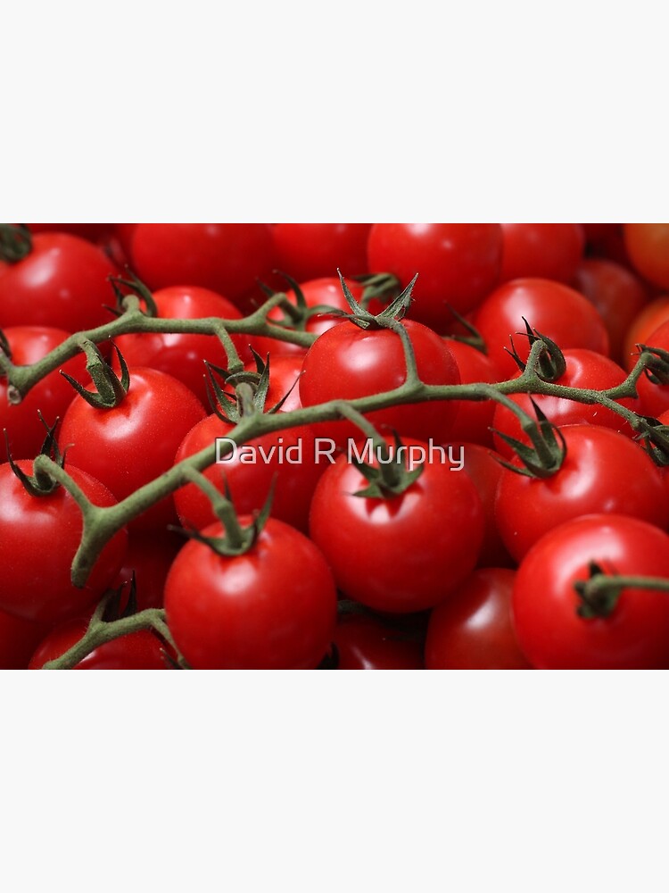 tomatoes by DavidRMurphy
