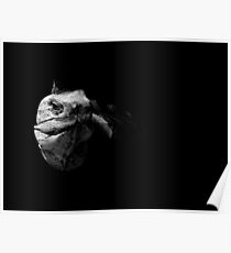 The Colors Of Photography ~ Part Nine Poster