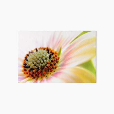 Light flower Art Board Print