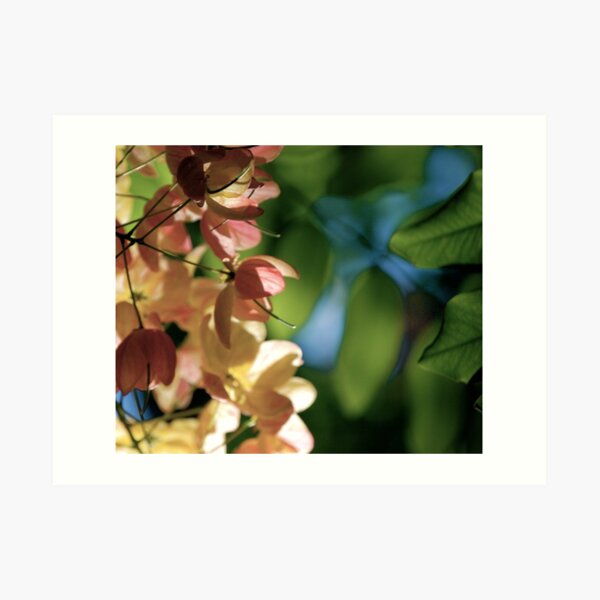 Slightness... Kauai Sensual Series Art Print