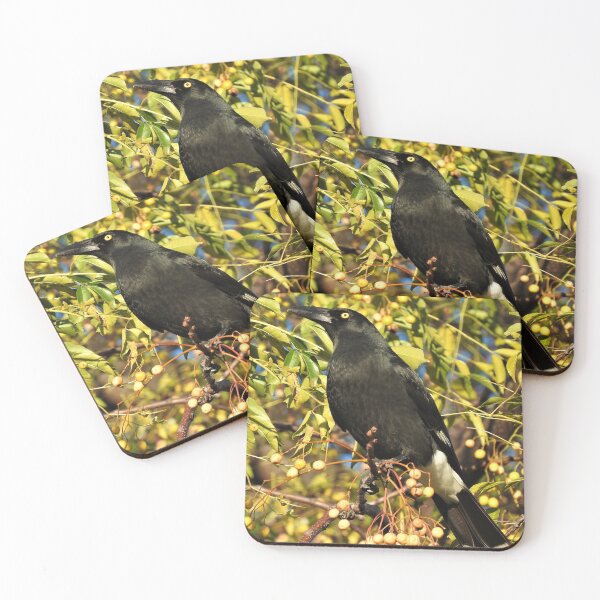 Item preview, Pied Currawong designed and sold by kirstybush.