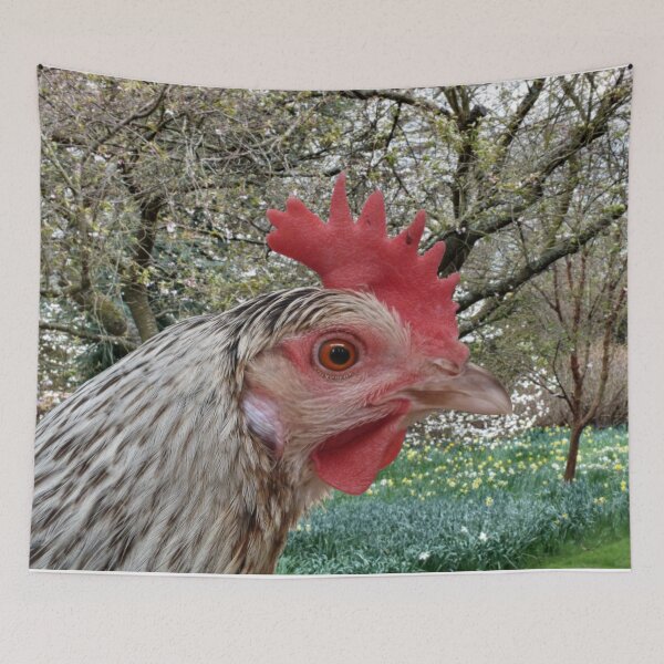 Item preview, I Should be so Clucky designed and sold by Yampimon.