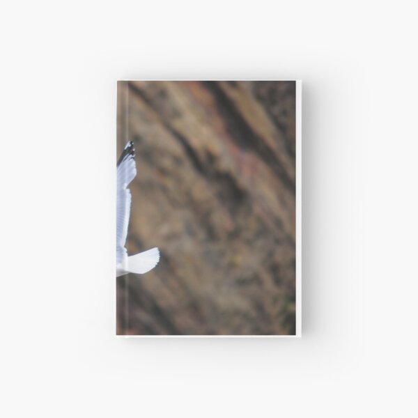 Seagull in flight Hardcover Journal