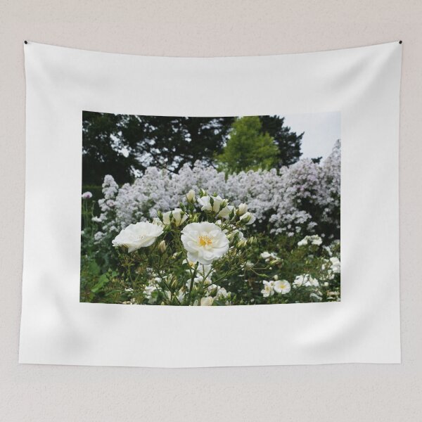 Item preview, Beautiful evergreen rose designed and sold by santoshputhran.