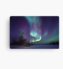 Aurora Borealis over Gordon Lake Canvas Print