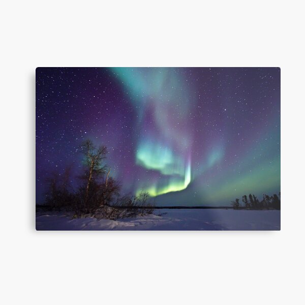 Aurora Borealis over Gordon Lake Metal Print
