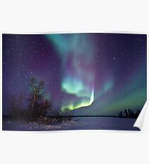 Aurora Borealis over Gordon Lake Poster