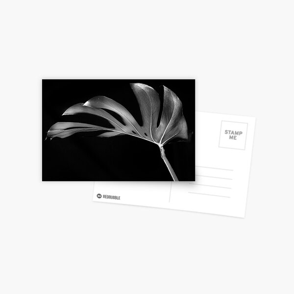 Leaves Postcard