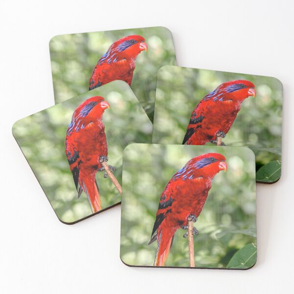 Item preview, Blue-streaked Lory designed and sold by AviarylifeMag.
