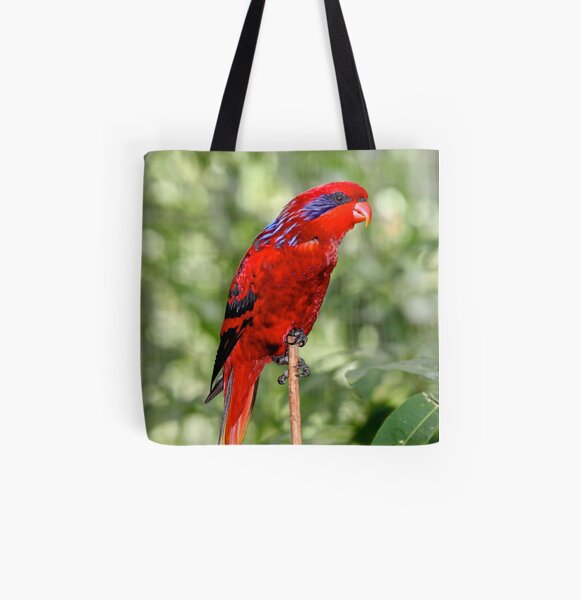 Blue-streaked Lory All Over Print Tote Bag